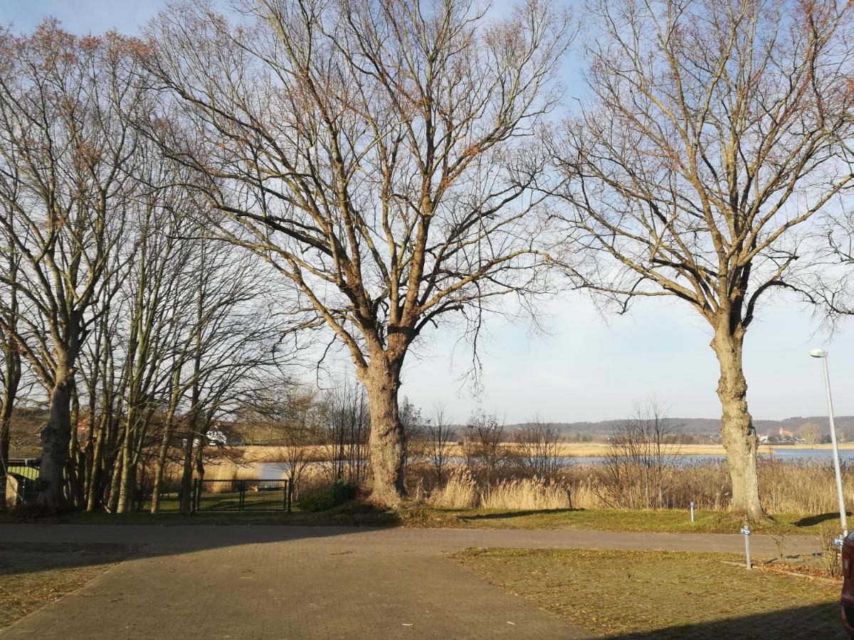 Sellin - Seedorf Am Neuensiener See Apartment 08 エクステリア 写真