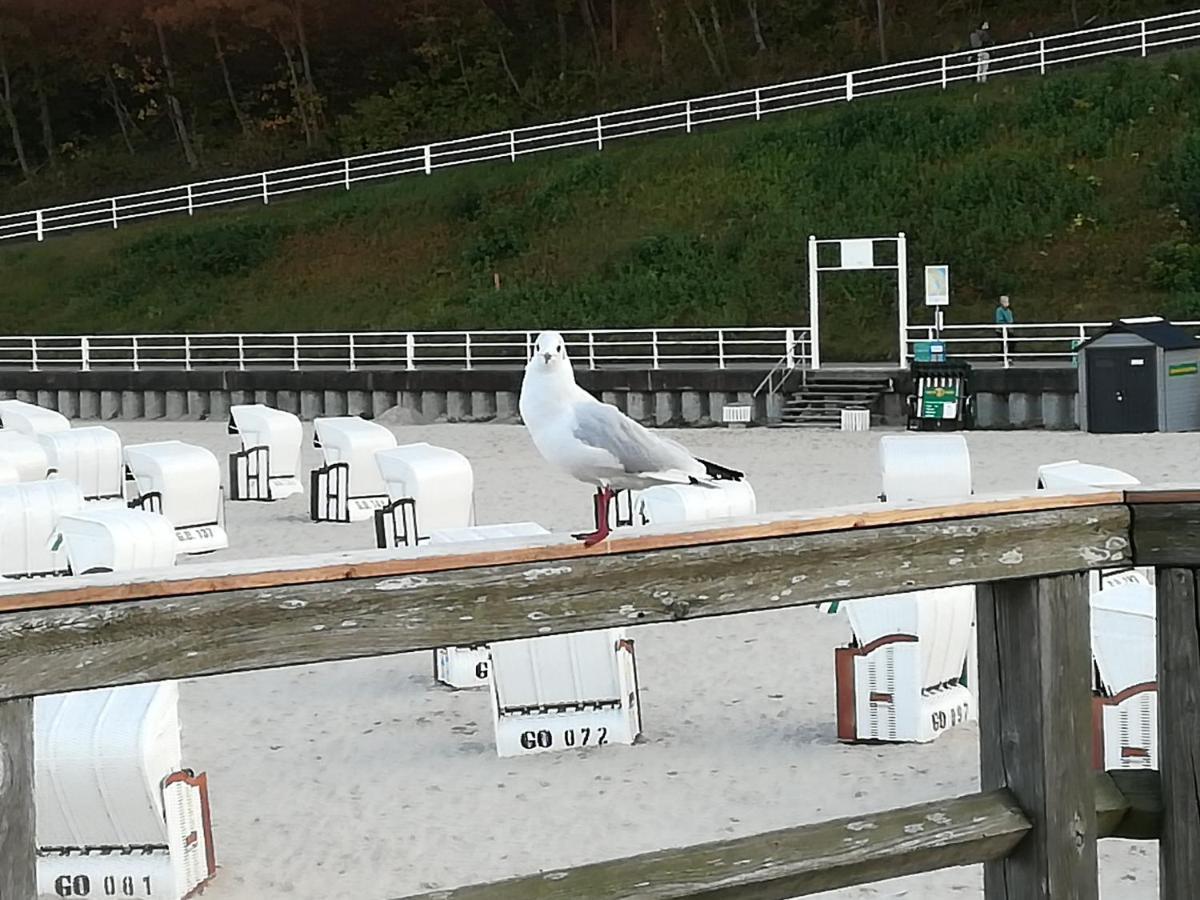 Sellin - Seedorf Am Neuensiener See Apartment 08 エクステリア 写真